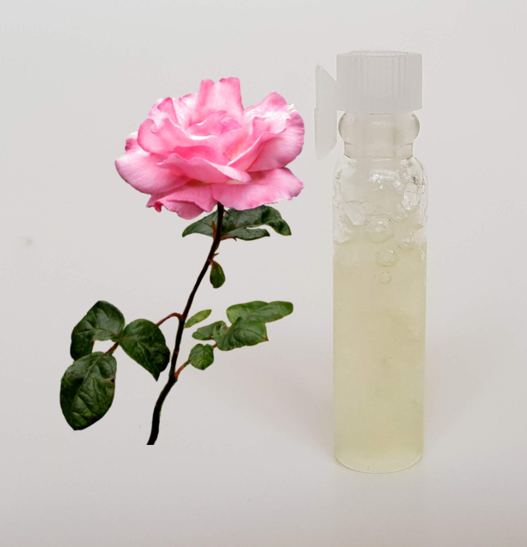 Pure Rose Oil 1gr 100 Natural Etsy