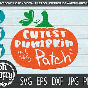 Puede incluir: Calabaza naranja con un tallo y hojas verdes. La calabaza tiene texto blanco que dice "CUTEST PUMPKIN IN THE PATCH" con un pequeño símbolo de corazón.