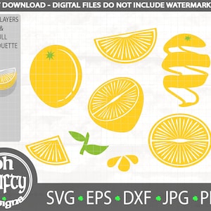 Lemon pieces svg, lemon slices bundle, Lemon zest svg, lemon peel svg, whole lemon svg, Citrus fruit svg, Lemon segments svg, summer fruit