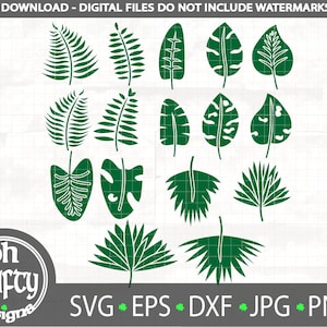 Tropical leaves svg, Safari leaves svg, Jungle leaves, Rain forest leaves svg, monstera leaf svg, Palm leaf svg, Leaf CutFile, Botanical svg