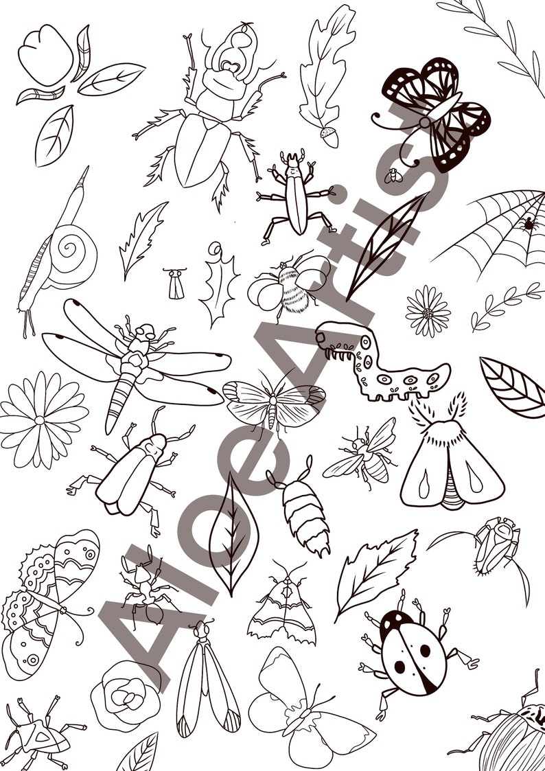 Hoja para colorear de insectos y plantas descargable para niños