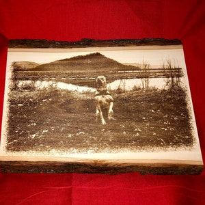 Your Photo wood burned on Live Edge Basswood (Laser Engraved Picture perfect for Weddings, Father&#39;s Day, or matching Rustic/Primitive decor)