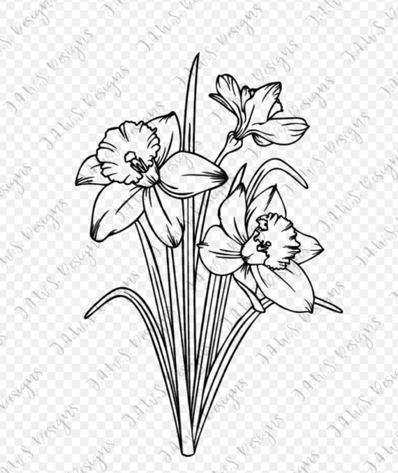 Narcissus Daffodil Svg Png Cut File For Htv Vinyl Cutting Etsy