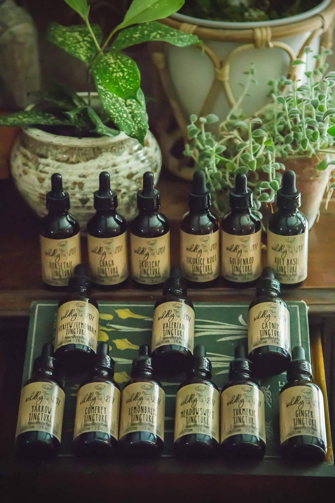 St. Johns Wort Tincture Depression Nightmares Nerve Pain Mood Booster
