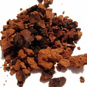 Maine Chaga Mushroom- Immune Support- Anti-inflammatory- Chaga Tea- Coffee Alternative