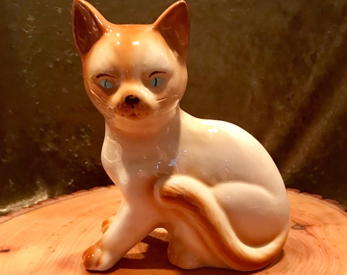 Vintage Siamese Cat