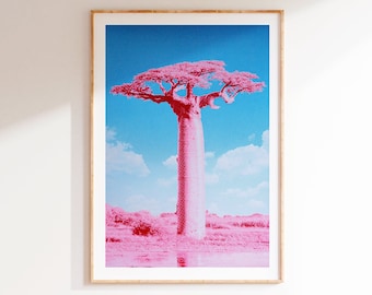 A2 colorful screen print of a Baobob tree in fluoro pink/blue