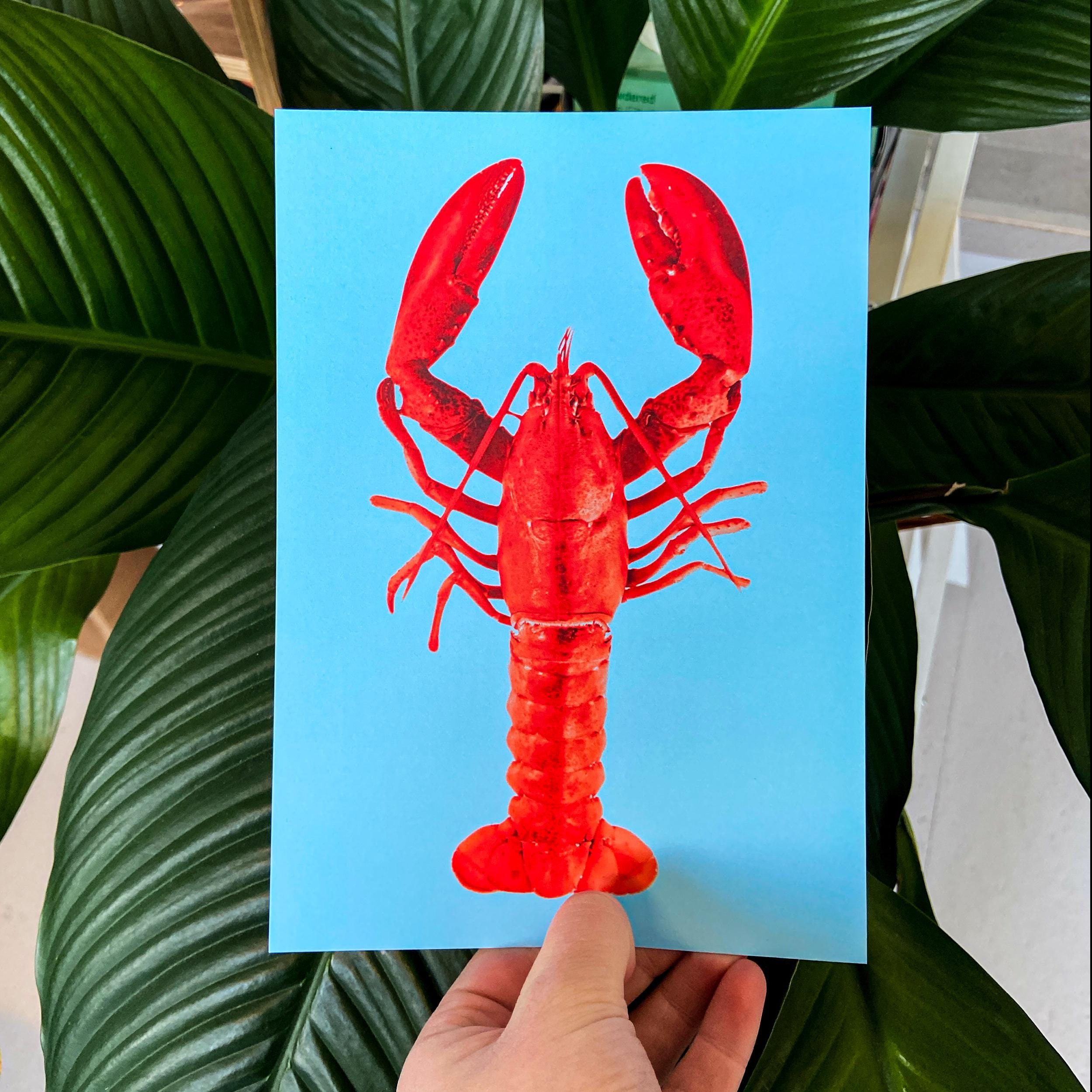 Dali lobster - Etsy 日本
