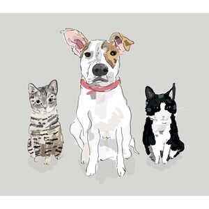Puede incluir: Ilustraci&oacute;n de un perro y dos gatos. El perro es blanco con manchas marrones y un collar rosa. Un gato es gris y negro a rayas, el otro es blanco y negro. Los tres animales est&aacute;n sentados y mirando hacia adelante.