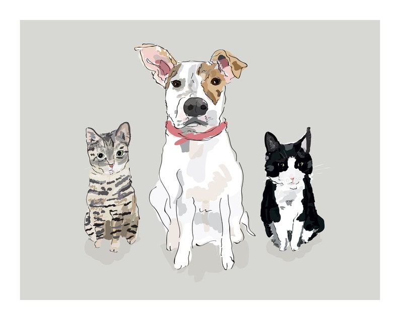 Puede incluir: Ilustraci&oacute;n de un perro y dos gatos. El perro es blanco con manchas marrones y un collar rosa. Un gato es gris y negro a rayas, el otro es blanco y negro. Los tres animales est&aacute;n sentados y mirando hacia adelante.