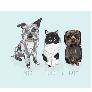 Puede incluir: Ilustraci&oacute;n de tres mascotas: un perro gris y blanco llamado Jock, un gato blanco y negro llamado Lilo y un perro marr&oacute;n llamado Lady. Las mascotas est&aacute;n sentadas sobre un fondo azul claro. Los nombres de las mascotas est&aacute;n escritos debajo.
