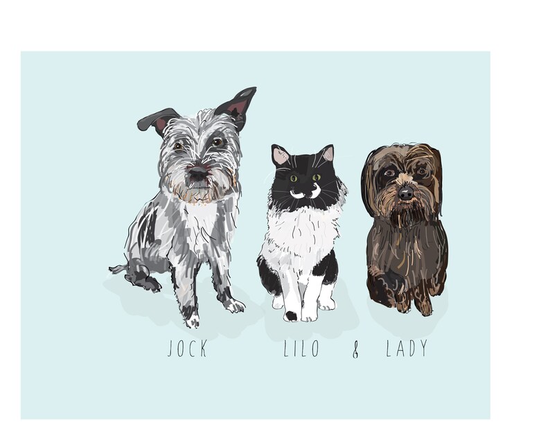 Puede incluir: Ilustraci&oacute;n de tres mascotas: un perro gris y blanco llamado Jock, un gato blanco y negro llamado Lilo y un perro marr&oacute;n llamado Lady. Las mascotas est&aacute;n sentadas sobre un fondo azul claro. Los nombres de las mascotas est&aacute;n escritos debajo.
