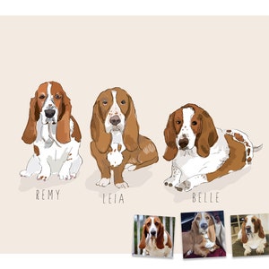 Puede incluir: Ilustraci&oacute;n de tres Basset Hounds, cada uno con marcas marrones y blancas, y largas orejas ca&iacute;das. Los perros se llaman Remy, Leia y Belle. Tres fotos m&aacute;s peque&ntilde;as de los perros est&aacute;n en la parte inferior. El fondo es de color beige claro.