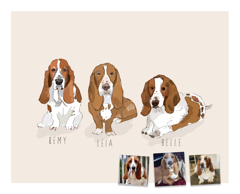 Puede incluir: Ilustraci&oacute;n de tres Basset Hounds, cada uno con marcas marrones y blancas, y largas orejas ca&iacute;das. Los perros se llaman Remy, Leia y Belle. Tres fotos m&aacute;s peque&ntilde;as de los perros est&aacute;n en la parte inferior. El fondo es de color beige claro.