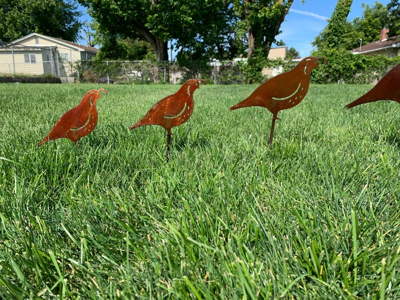 Quail Family metal Quail Lawn Artdesert Yard Artyard Etsy