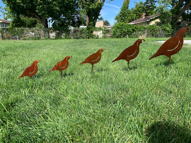 Quail Family metal Quail Lawn Artdesert Yard Artyard Etsy