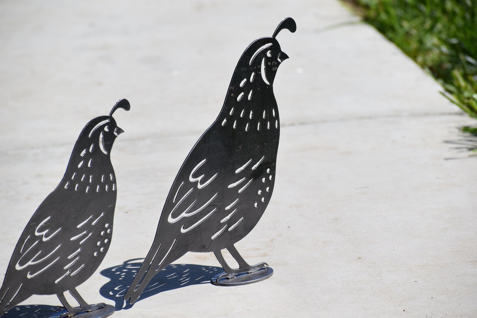 Quail Family metal Quail quail Artyard Decordecorative Etsy