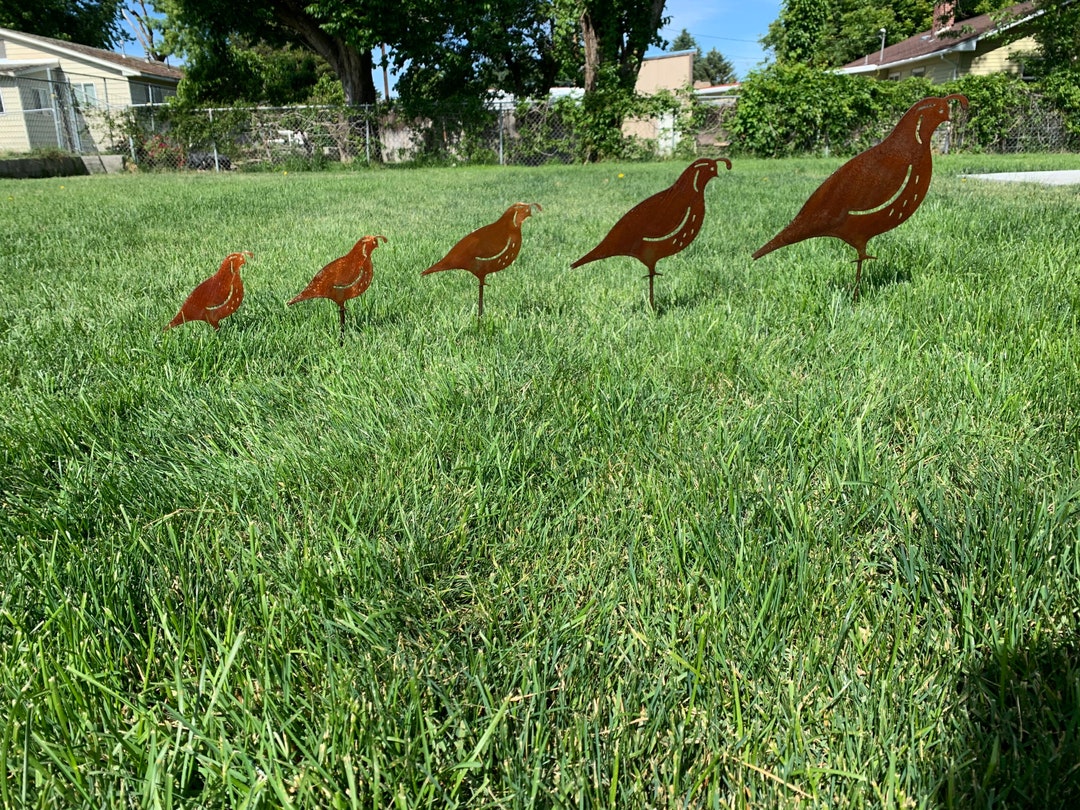 Quail Family metal Quail Lawn Artdesert Yard Artyard Etsy