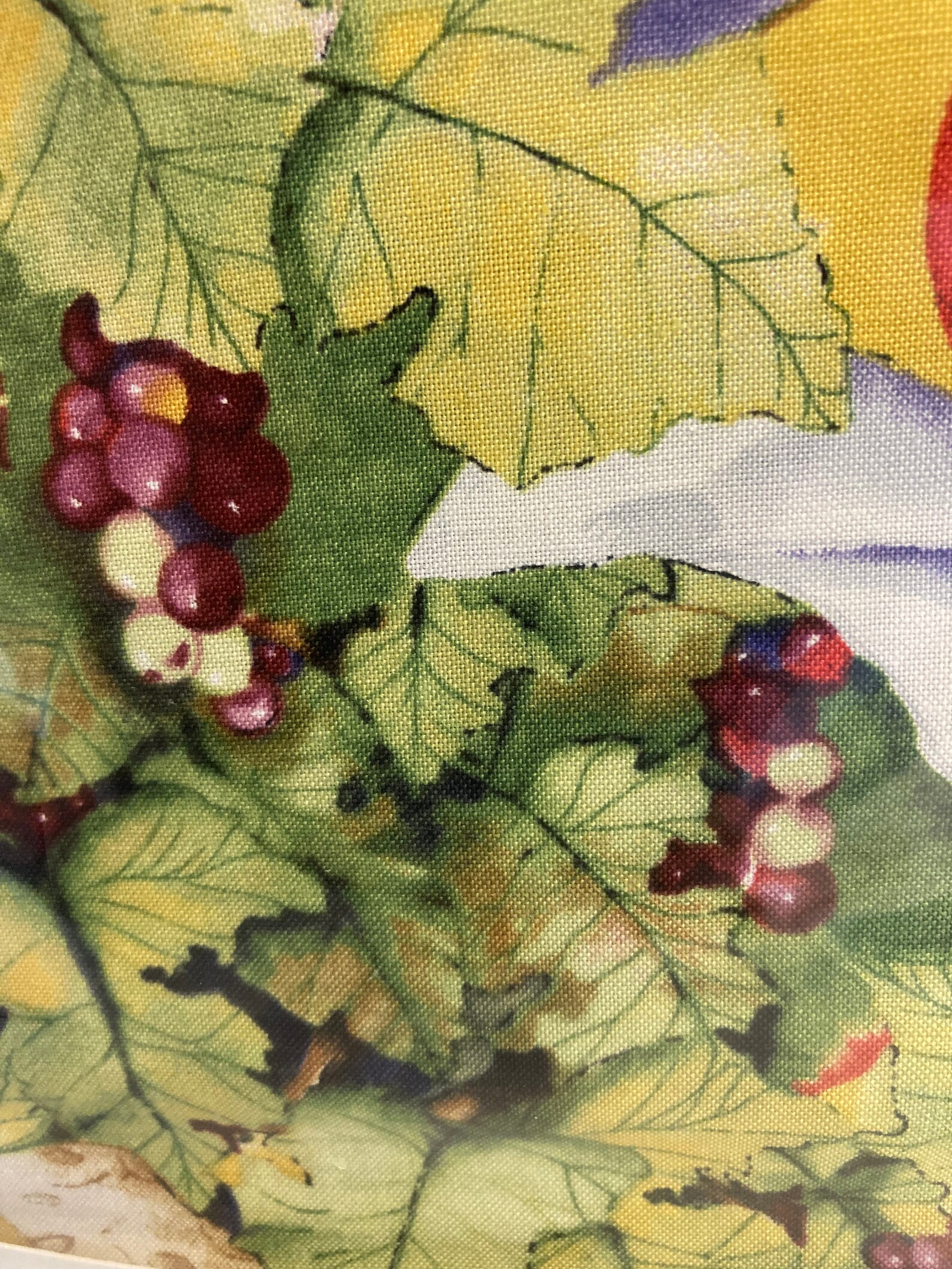 Cotton Fabric in Sealed Package 21 by Etsy