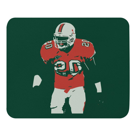 ed reed hurricanes