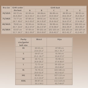May include: A size chart for bras and panties, displaying measurements in inches and centimeters. The chart includes bra sizes, underbust girth, bust girth, panty sizes, waist, and hip measurements.