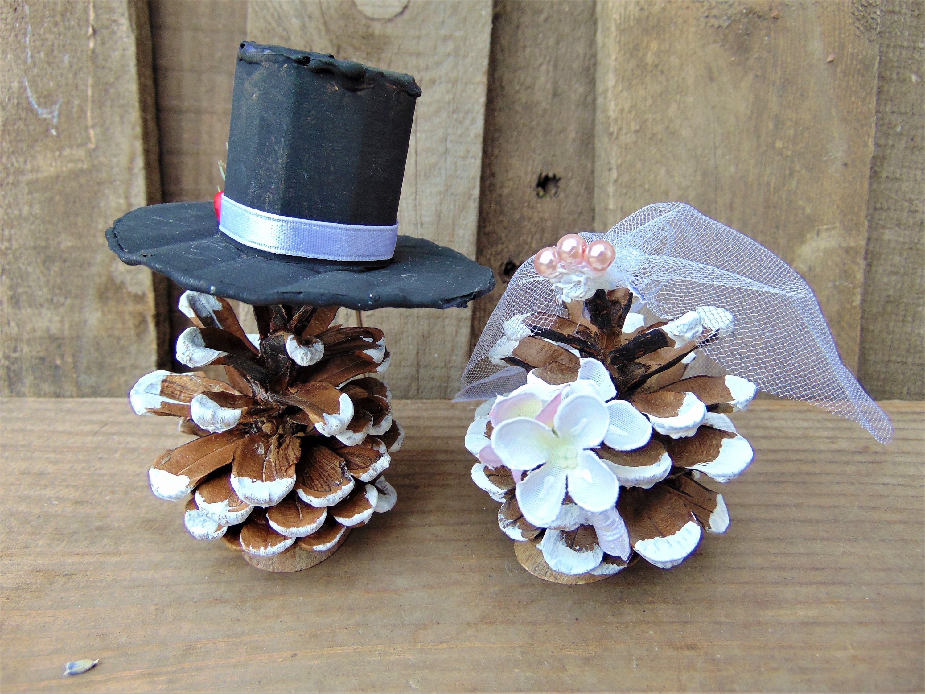 Mr & Mrs Pine cone Cake Topper Wedding Cake Topper Bride Etsy