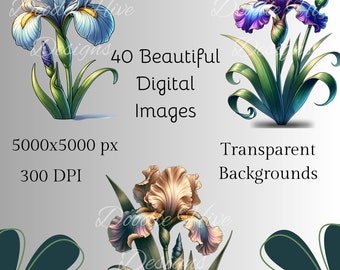 Iris Flower Clipart Bundle: 40 Vintage Botanical PNG Graphics (Digital Download)