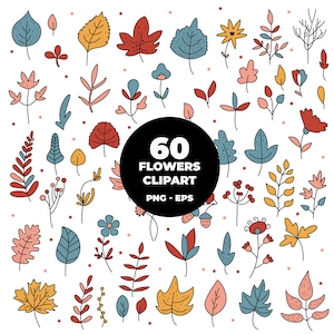 828 - Autumn leaves full color pack bundle Clipart EPS and PNG Format. Autumn leaves full color pack bundle Clipart Vector.
