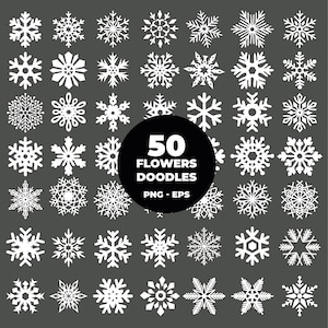 850 - Paquete de copos de nieve Clipart (formato EPS y PNG). Vector de copos de nieve. Paquete de iconos PNG de invierno. Paquete de iconos de copos de nieve PNG