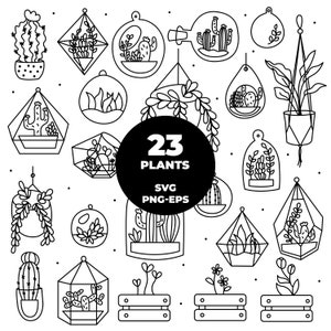 871 - Lot de terrariums cactus SVG, EPS, PNG - terrarium cactus doodle vecteur Clipart. Icônes de cactus. plantes de terrarium svg.