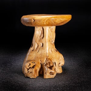 Live Edge Teak Root Seat / Side Table / Tree Stump Stool image 5