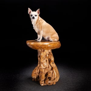 Live Edge Teak Root Seat / Side Table / Tree Stump Stool image 2