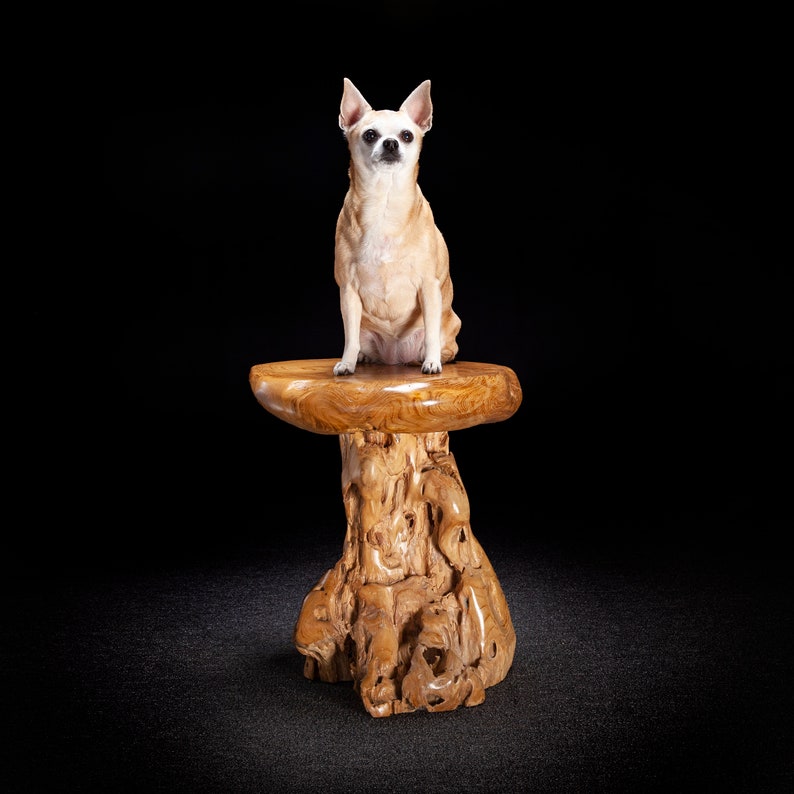 Live Edge Teak Root Seat / Side Table / Tree Stump Stool image 7