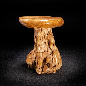Live Edge Teak Root Seat / Side Table / Tree Stump Stool - Etsy