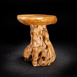 Live Edge Teak Root Seat / Side Table / Tree Stump Stool image 3