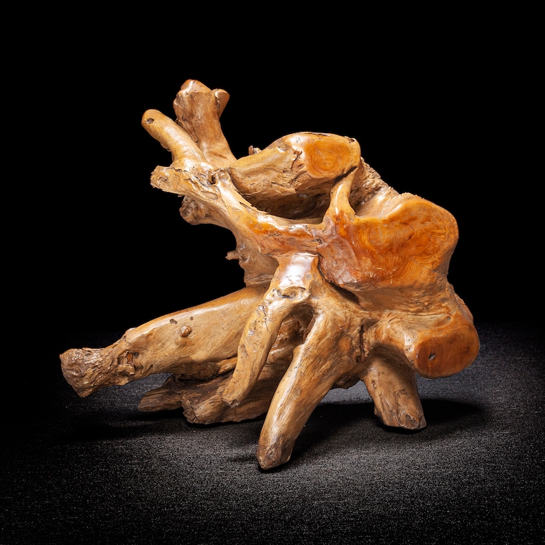May include: A natural wood sculpture with a unique, organic shape. The wood is a light brown color and has a smooth, polished finish.