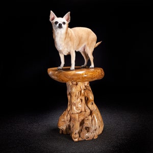 Live Edge Teak Root Seat / Side Table / Tree Stump Stool image 8