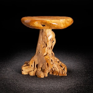 Live Edge Teak Root Seat / Side Table / Tree Stump Stool image 1