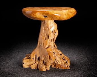 Live Edge Teak Root Seat / Side Table / Tree Stump Stool