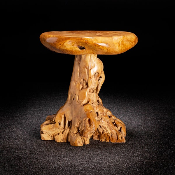 Live Edge Teak Root Seat / Side Table / Tree Stump Stool