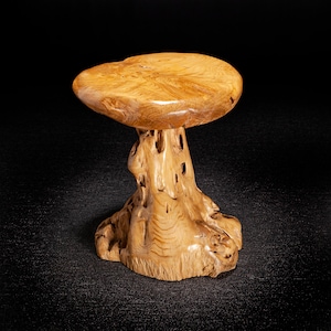 Live Edge Teak Root Seat / Side Table / Tree Stump Stool image 6