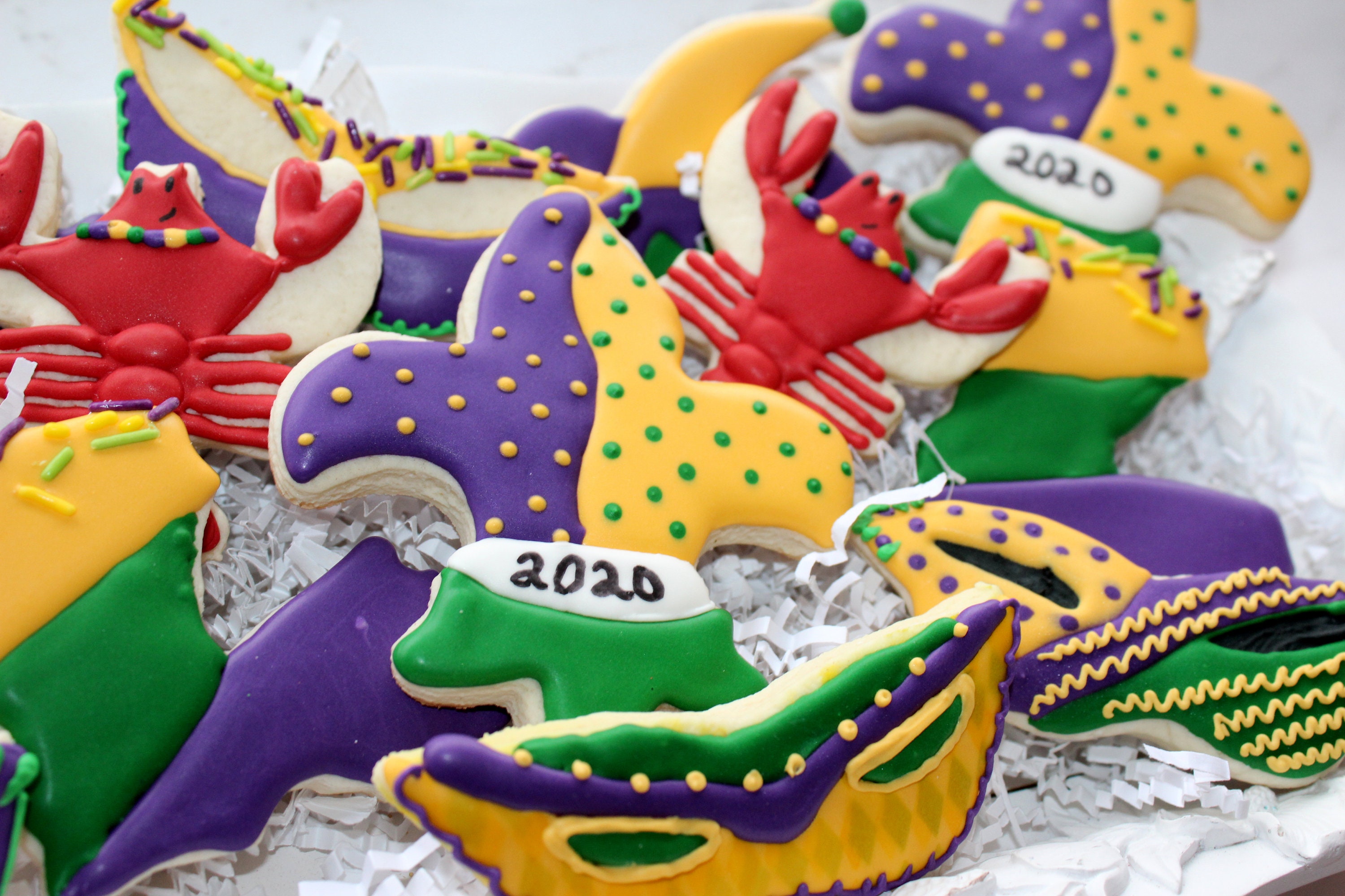 gator mardi gras costume