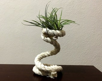Desktop air plant holder rustic White display air plant stands