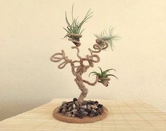 May include: A small, decorative tree made of twisted rope with three air plants growing in it. The tree is sitting on a round, cork base with small stones around the base.