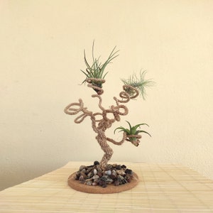 Eco Christmas tree Air plants holder, multiple display for baby air plants