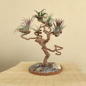 Support pour plantes aériennes Présentoir multiple pour bébés plantes aériennes Produit respectueux de l'environnement