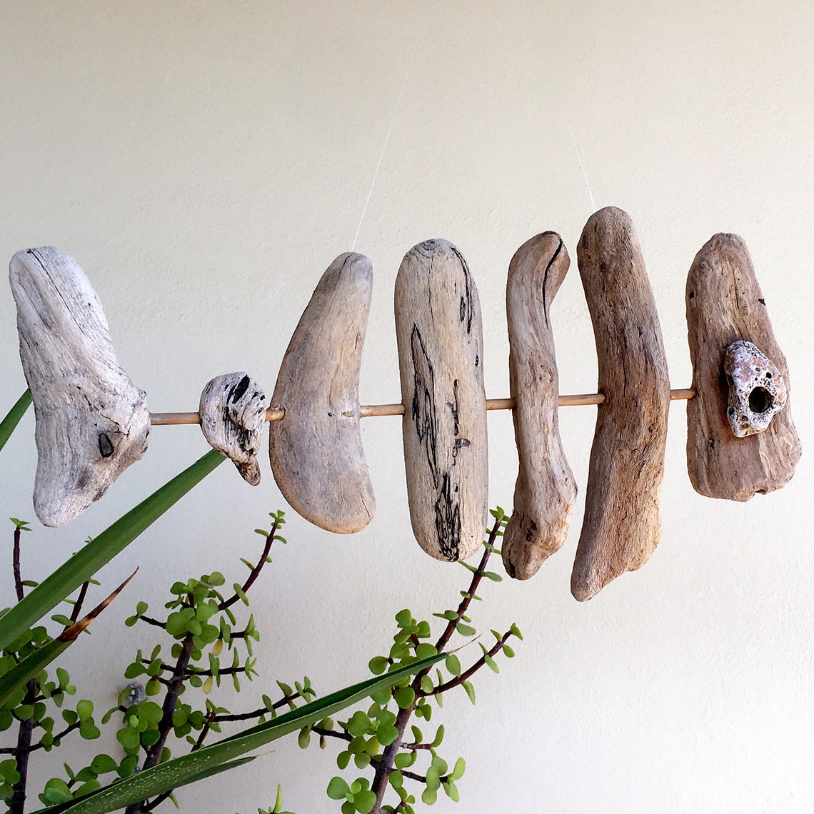 Driftwood Fish Wall Hanging 16 Driftwood Sculpture Etsy