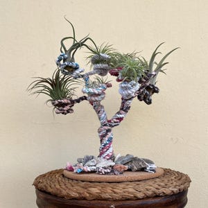Può includere: Una scultura artigianale di piante aeree a forma di albero. Il tronco e i rami sono fatti di corda ritorta nei toni del bianco, rosa e blu. Le piante aeree verdi sono collocate in tasche avvolte in corda. La base è un cesto rotondo intrecciato.