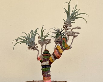 Porta piante aeree multicolore, espositore in legno unico, regalo ecologico