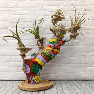 Soporte para plantas de aire con decoración de estilo psicodélico, múltiples exhibiciones para 5 plantas de aire para bebés, regalos ecológicos, decoración colorida para bicicletas.